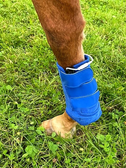 Close-up of a Horse Tendon Pad fitted inside a boot on a horse's front leg
