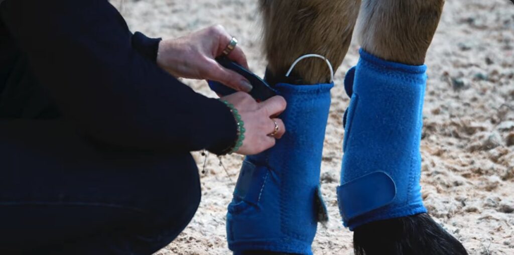Securing the Horse Tendon Pad in place with a boot, with the lead trailing out of the top